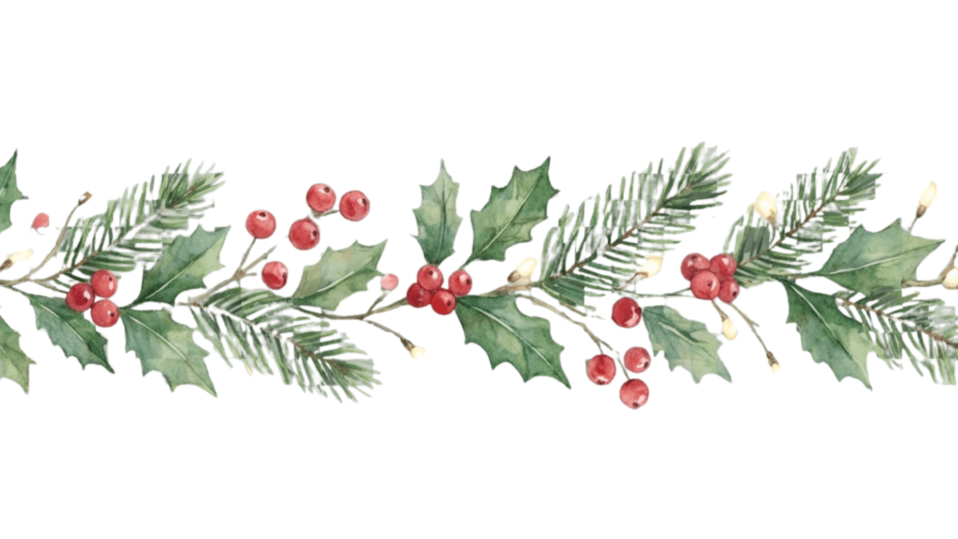 Newsletter-formato-banner-1920-x-1080-px