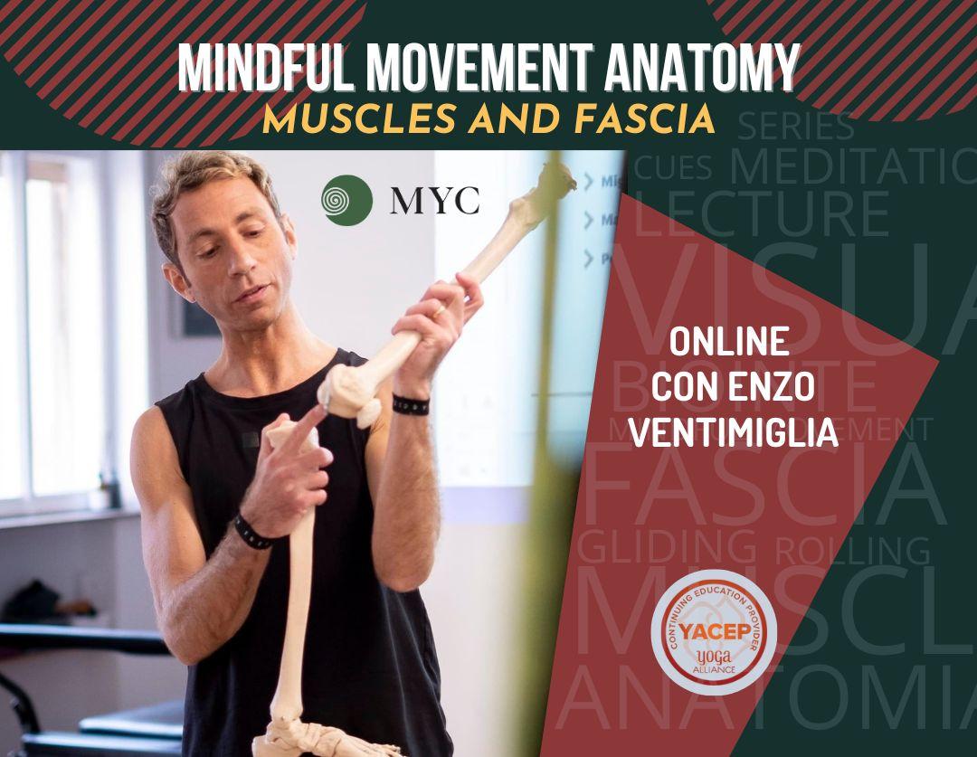 Corso di anatomia online con Enzo Ventimiglia: muscoli e fascia